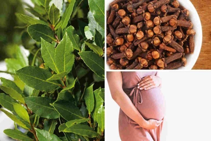 Guide de Fertilité Après 35 Ans